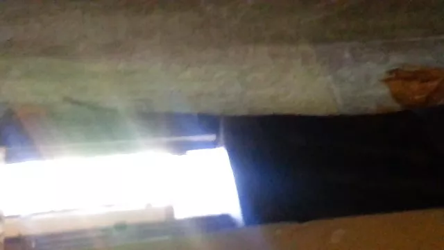پورنو رایگان بدون ثبت نام من سبزه فیلمهای سکسی جسی جین دختر سینه بزرگ,سینه